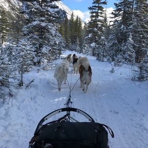 Meet your Posher, Brad